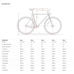 6KU Fixed Gear Bike – Iris-594